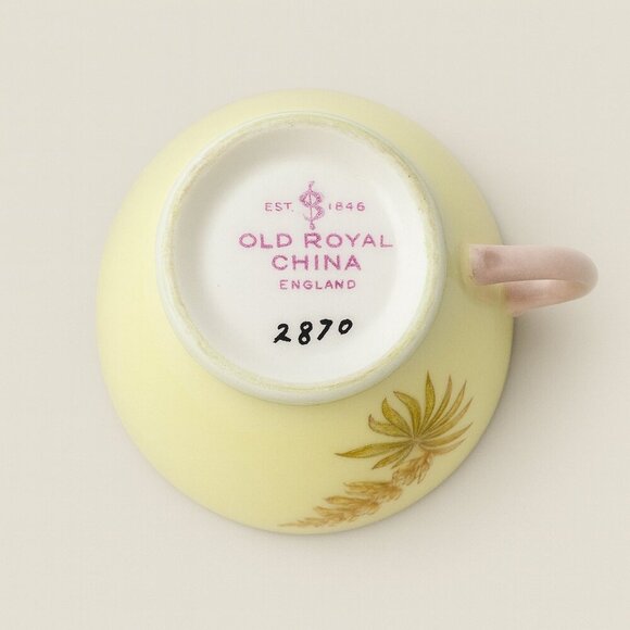 Old Royal China England Cup & Saucer Set #2870 Botanical Floral VTG Bone China - Picture 4 of 4